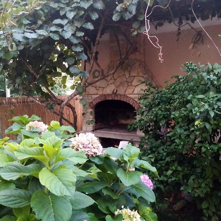 זאדאר Apartment Maja מראה חיצוני תמונה