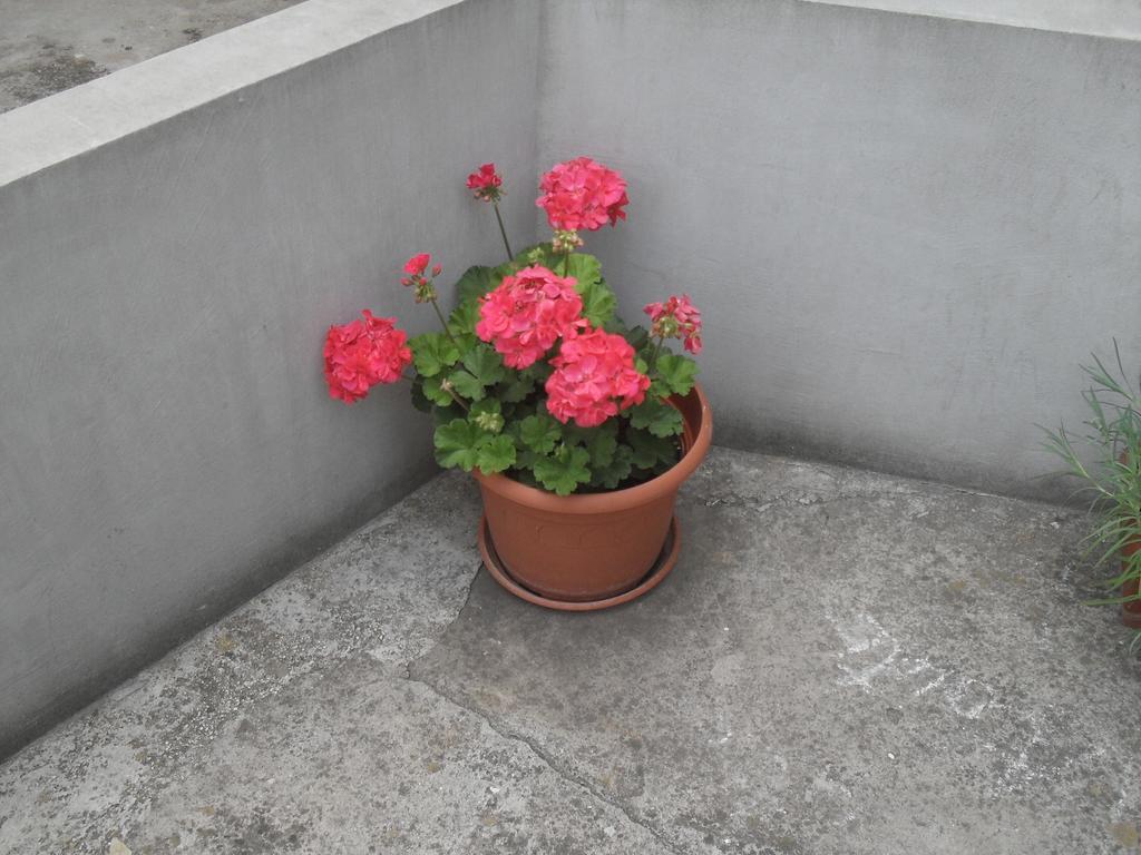 זאדאר Apartment Maja חדר תמונה